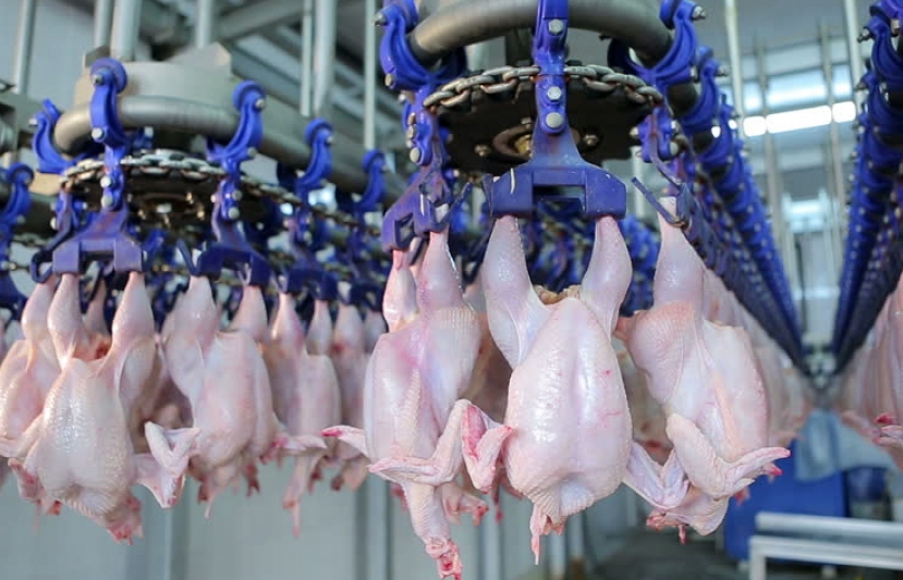 Doanh nghiệp Hy Lạp tìm đối tác nhập khẩu thịt gà