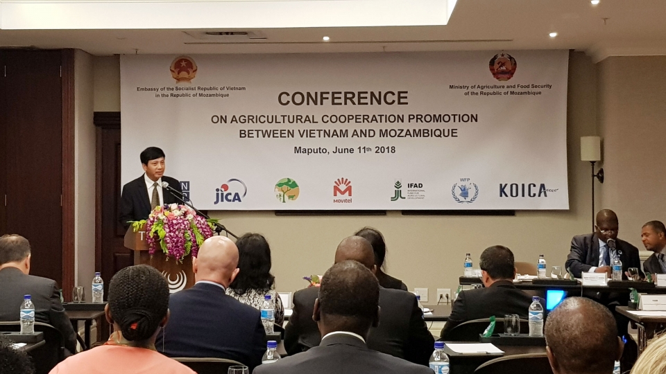 Mozambique đánh giá cao hoạt động trợ giúp nông nghiệp của Việt Nam mozambique danh gia cao hoat dong tro giup nong nghiep cua viet nam