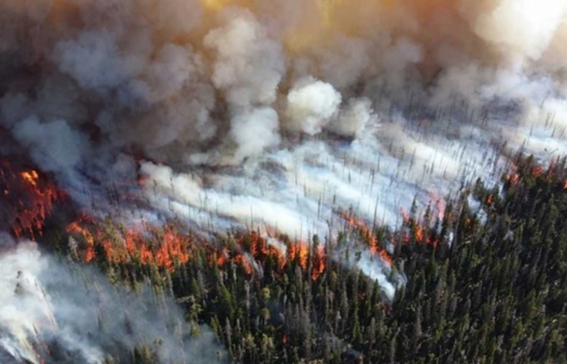 Cháy rừng ở Alberta, Canada: Hàng chục nghìn người phải sơ tán
