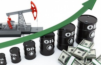 Giá dầu Mỹ tăng lên trên 50 USD/thùng