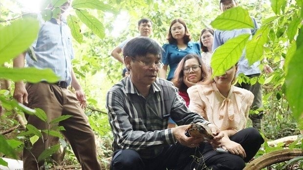 Wild animals were released back to the Cuc Phuong National Park on July 2. (Photo: VNA)