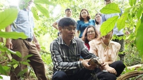 Tens of wild animals released back to nature