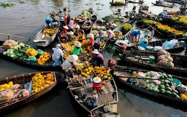 Cai Rang floating market in the Mekong Delta city of Can Tho. (Photo: VNA)