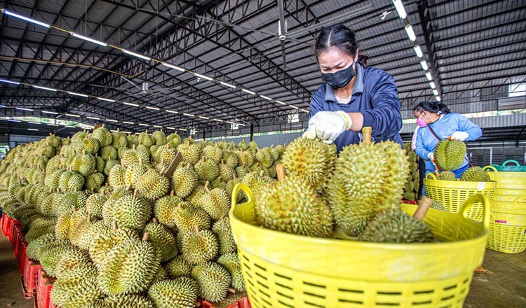'Vua trái cây' được người dân Trung Quốc yêu thích, hàng mua từ Việt Nam tăng mạnh