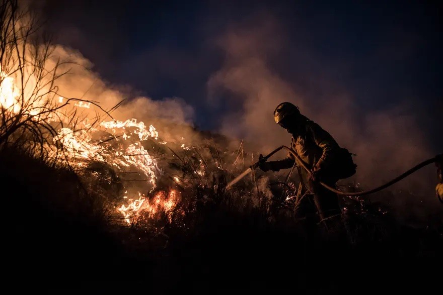 Lính cứu hỏa nỗ lực dập tắt đám cháy giữa hai thị trấn Pinos Puente và Atarfe, Tây Ban Nha. Thời tiết nóng bức với nhiệt độ cao kỷ lục đã gây ra nhiều vụ cháy rừng trên khắp quốc gia châu Âu này, ước tính từ đầu năm đến nay, gần 200.000 ha rừng đã bị thiê
