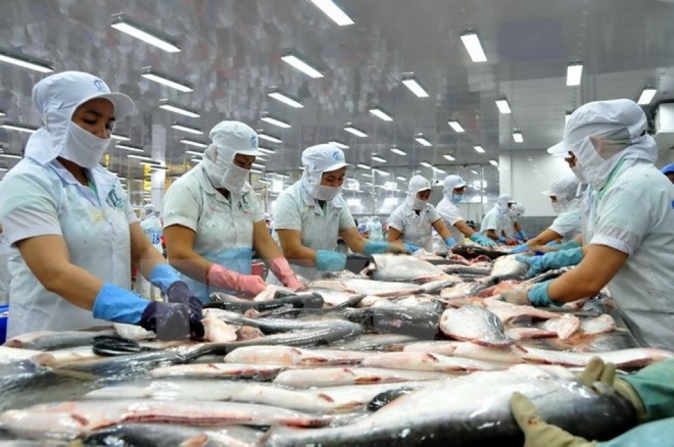 Thêm 23 doanh nghiệp thủy sản Việt được chấp thuận xuất khẩu thủy sản