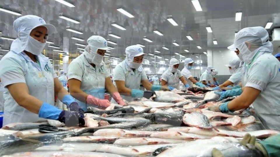 Xuất khẩu ngày 28-30/7: Từng phải 'giải cứu', mặt hàng này có thể đạt 5 tỷ USD năm 2023; cá tra 'ăn đong' từng đơn hàng
