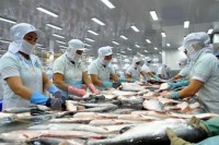 Xuất khẩu ngày 12-16/9: 'Lướt' UKVFTA, cá tra sang thị trường Anh dự báo tăng ấn tượng; Trung Quốc tăng mua sắn Việt Nam để làm gì?