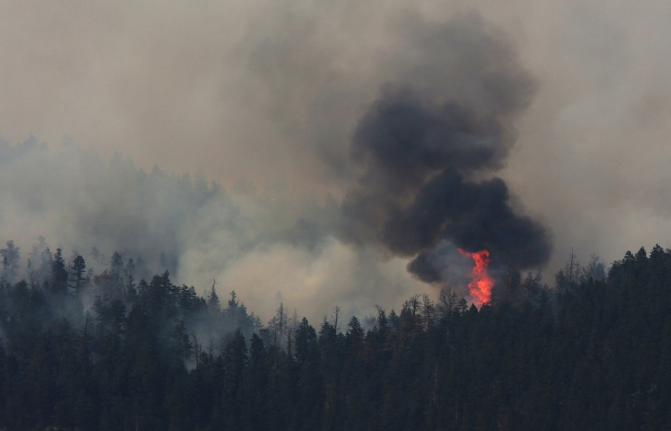 Canada: Cháy rừng lớn chưa từng thấy tại tỉnh British Columbia