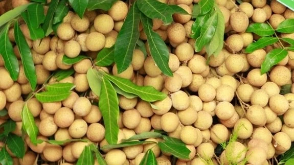 Nearly 10 USD for every kilo Vietnamese longans in Central World trade centre in Bangkok