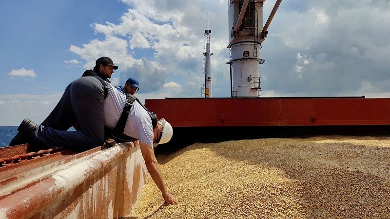 Ukraine xuất khẩu ngũ cốc: Hàng quá cảnh tại Ba Lan sẽ được giám sát và niêm phong, Kiev tố Nga chặn việc kiểm tra tàu