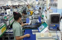 fdi from the us into vietnam remains modest