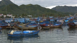 Báo Singapore: Việt Nam được ca ngợi về các nỗ lực chống đánh cá bất hợp pháp