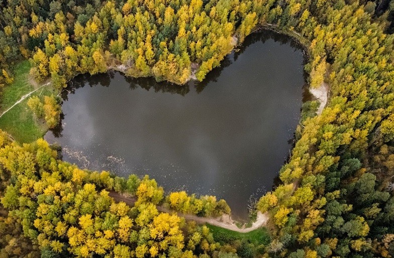 Hồ nước tự nhiên hình trái tim được bao quanh bởi cây cối bên ngoài Balashikha, Nga, ngày 4/10. (Nguồn: Reuters)
