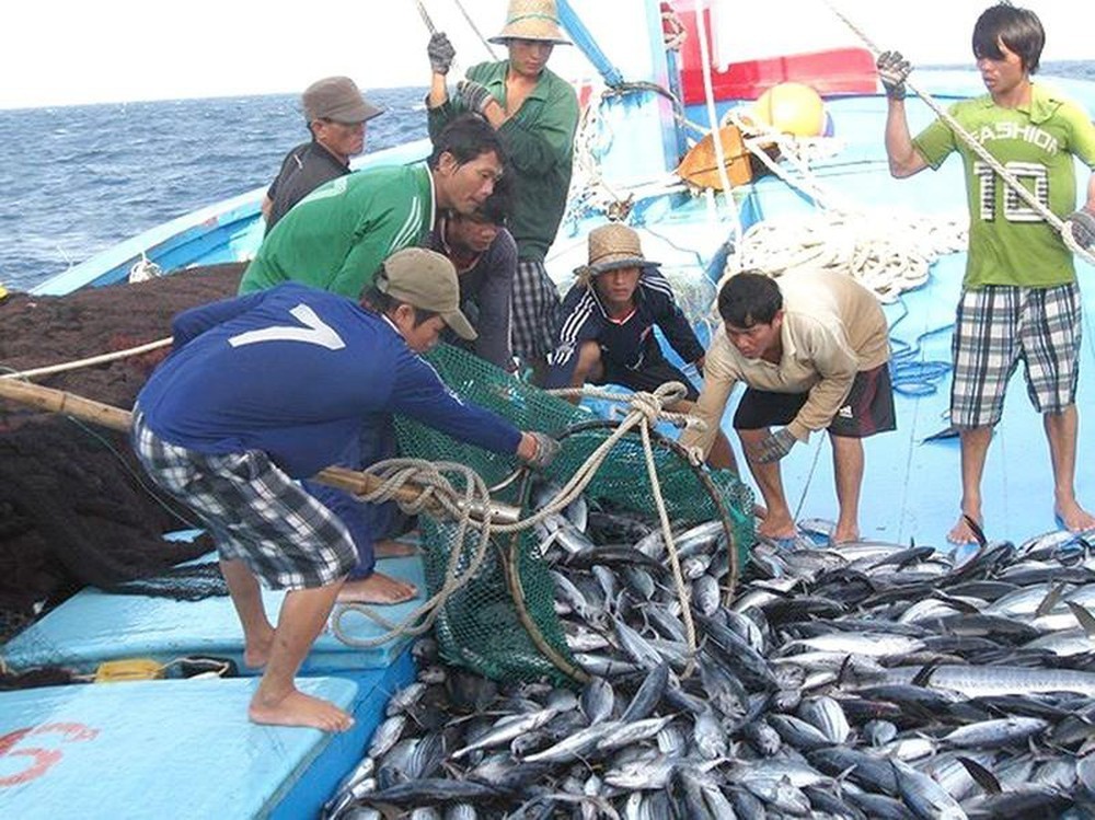 EC đánh giá cao nỗ lực khắc phục ‘thẻ vàng’ IUU của Việt Nam, sẽ trực tiếp kiểm tra vào quý I/2022. (Nguồn: Vietnamnet)