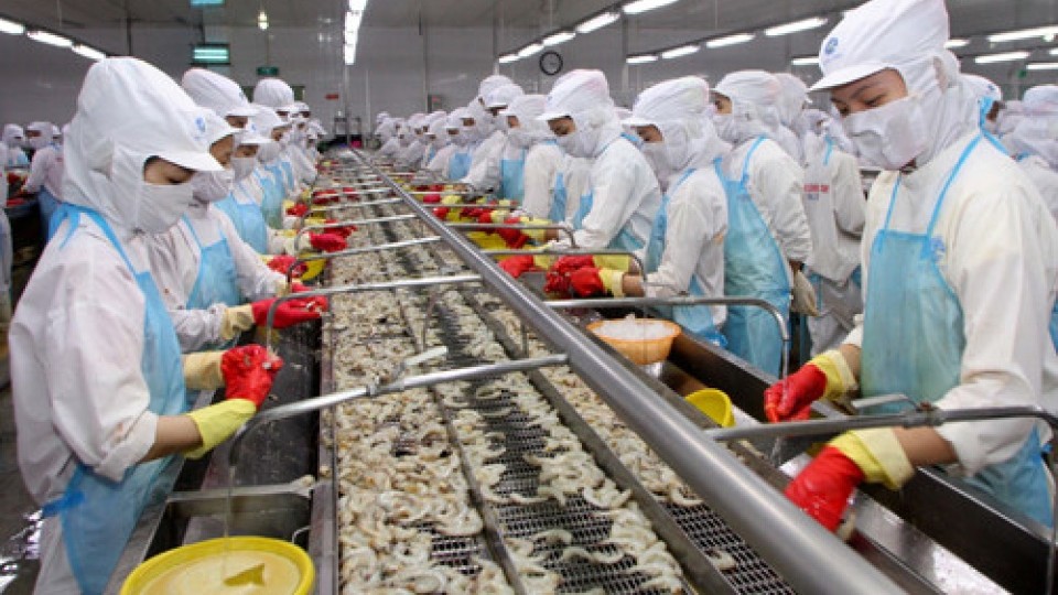 VASEP kiến nghị bãi bỏ hạn ngạch với tôm Việt Nam xuất khẩu vào Hàn Quốc