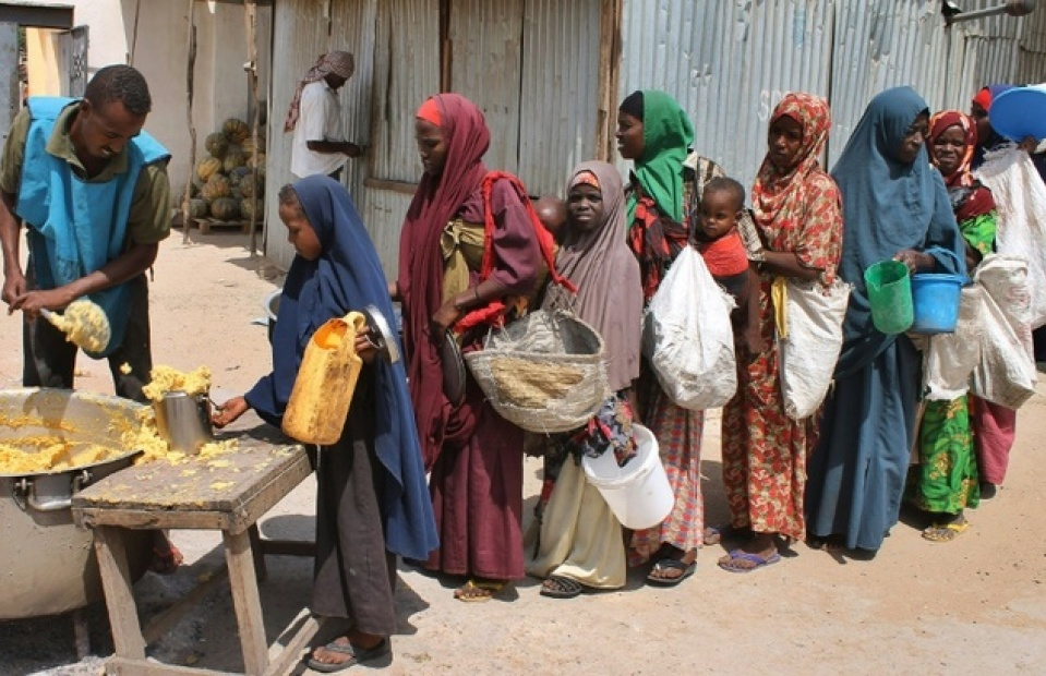 FAO: 29 nước châu Phi cần viện trợ lương thực