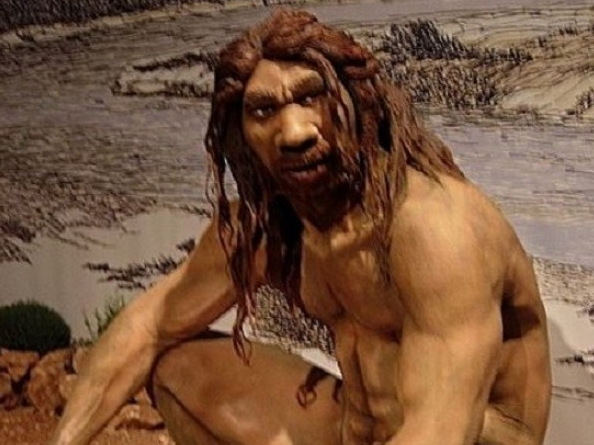Loài người thừa hưởng gen tốt từ người cổ đại Neanderthal
