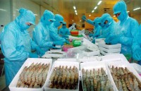 aquatic catch aquaculture output enjoy growth in first quarter