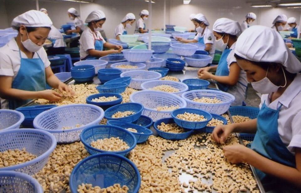 Cashew businesses worry about high price trap in 2018
