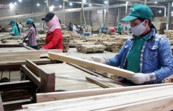 Wood industry targets 10.5 billion USD in export turnover in 2019