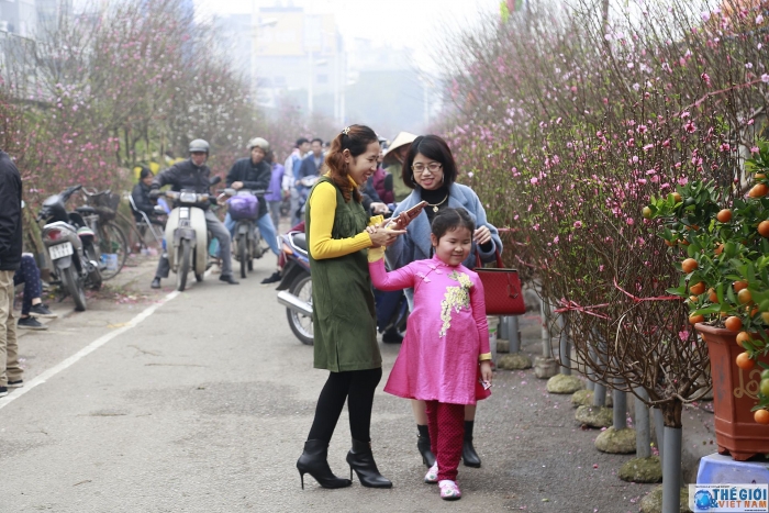 Những chợ hoa Tết Nguyên đán tại Hà Nội rộn ràng sắc xuân