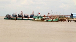 Ben Tre eyes sustainable development of offshore fishing