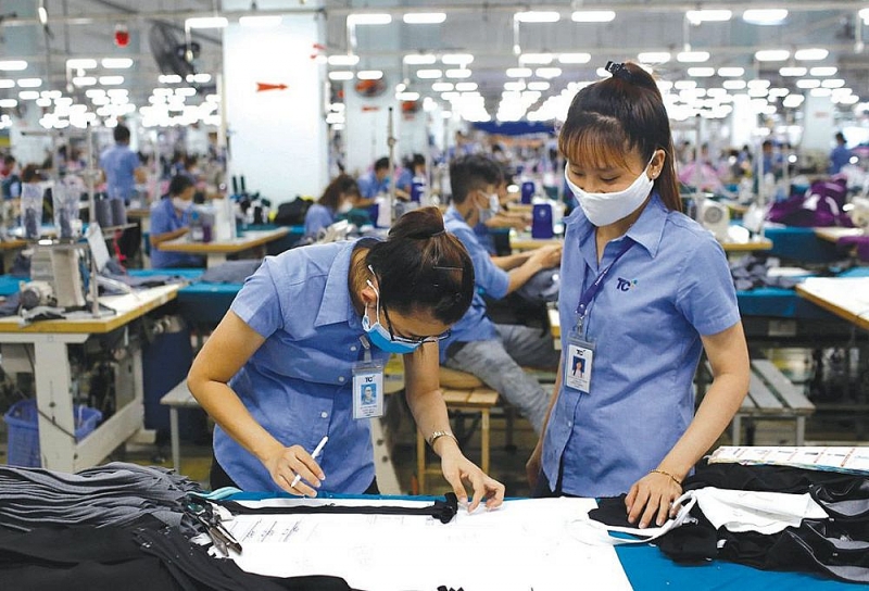 FDI enterprises increase but more losses reported