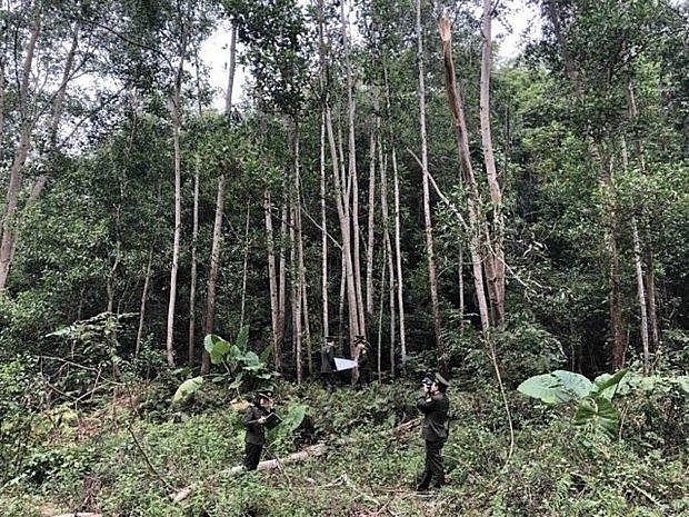Forestry sector targets 14 billion USD from exports in 2021