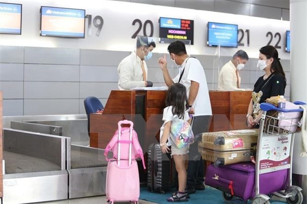 Vietnamese expats in Europe long for resumption of international flights