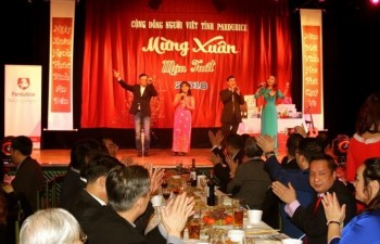 Overseas Vietnamese celebrate Lunar New Year