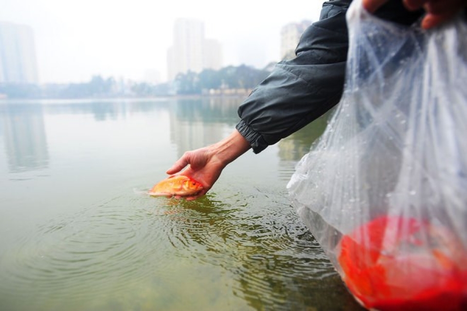 tet traditions honour kitchen gods