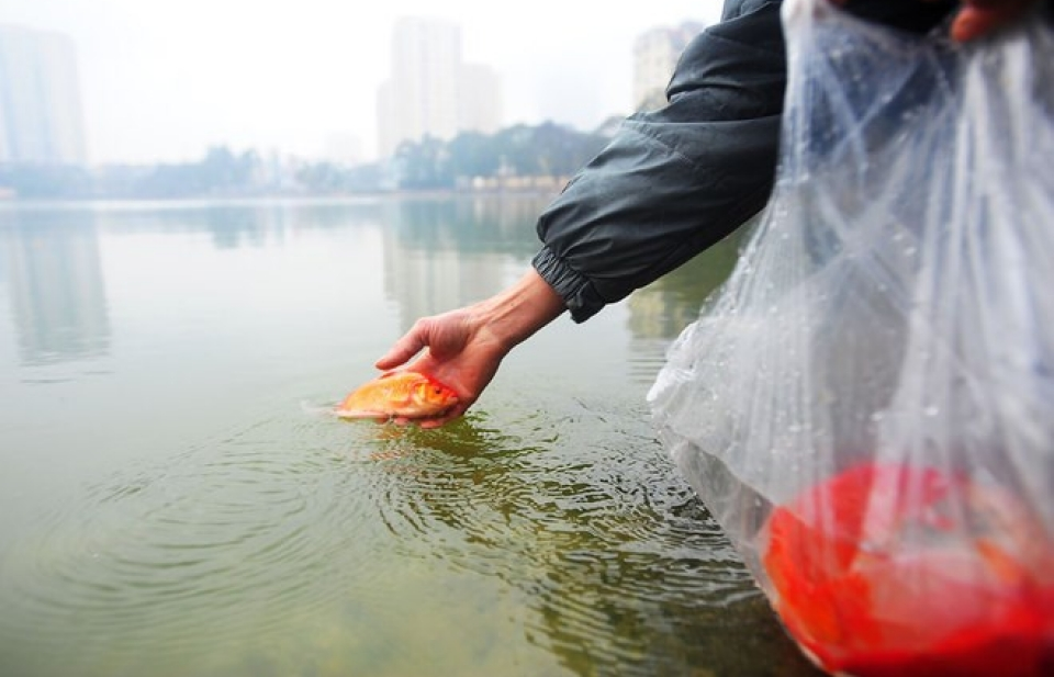 Tet traditions honour Kitchen Gods