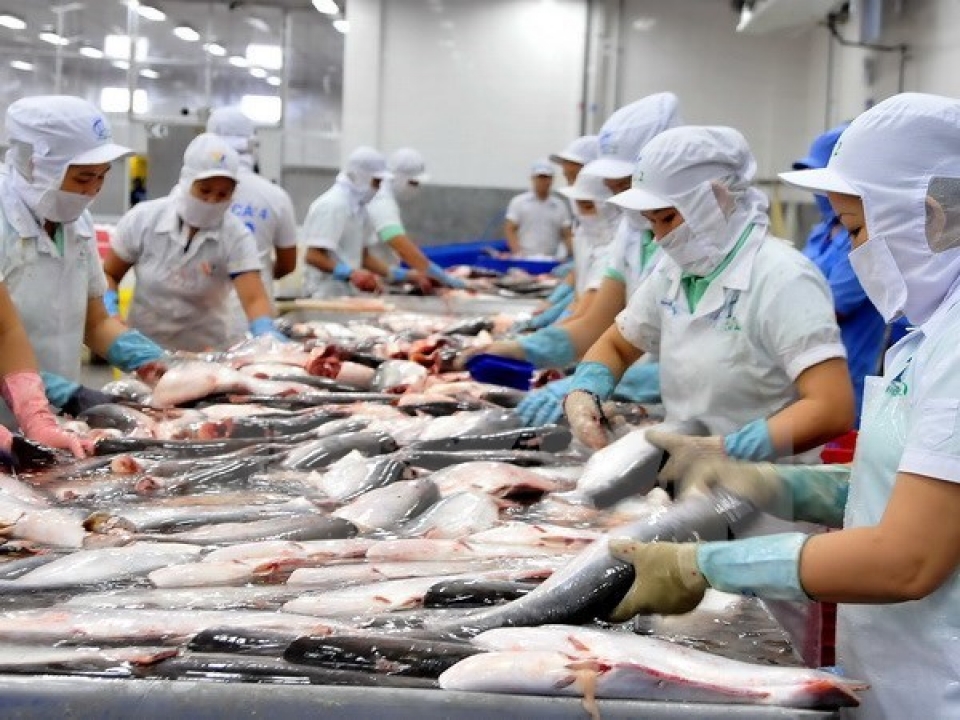 more firms hoped to ship aquatic products to russia