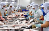 dorufoam expands export to russia europe american markets