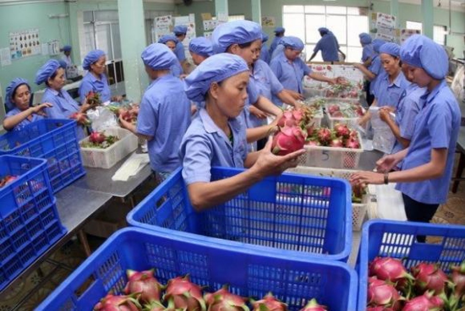 vietnam eyes 21 billion usd in cultivation exports in 2018