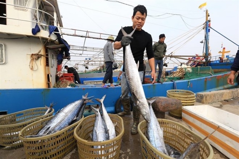 vietnam works to stop illegal fishing