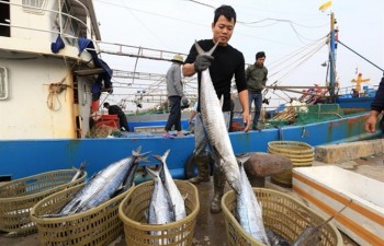 Vietnam works to stop illegal fishing