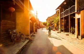 Cherry blossom viewing festival opens in Hoi An city