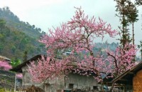 cao bang province to host first pac bo festival