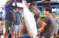 evfta to trigger high quality fdi flows into vietnam ahk