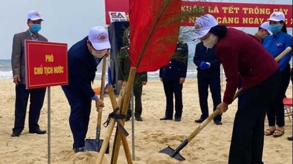 Vice President joins tree-planting festival in Quang Binh