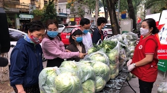 Campaign launched to 'rescue' farm produce in COVID-19 hotspot of Hai Duong