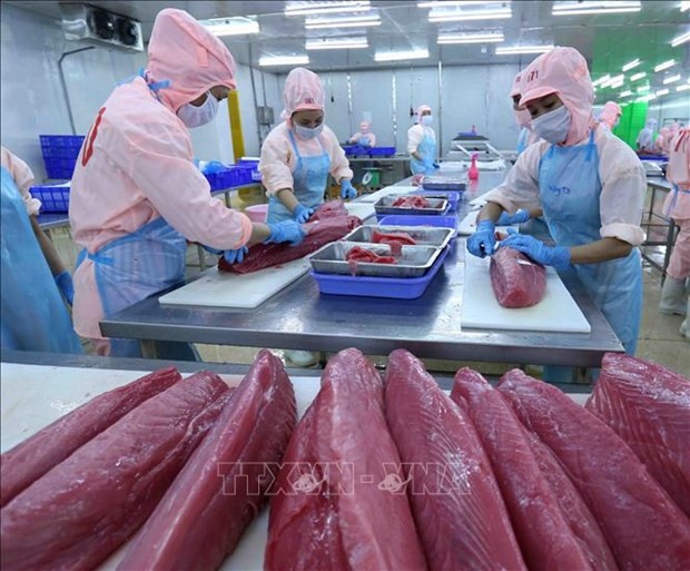 Tuna exports enjoy three-digit growth in January