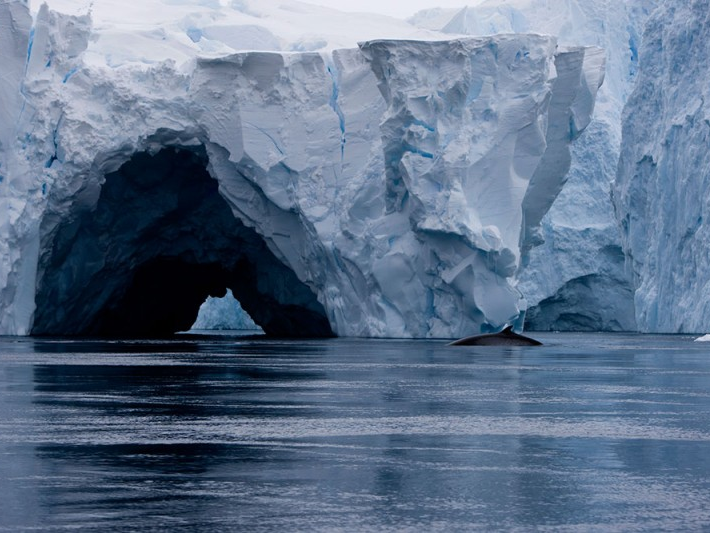 Nam Cực: Băng đang vỡ dần từ bên dưới