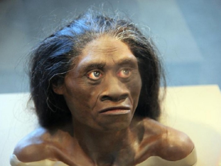 Người lùn cổ đại Indonesia bị tổ tiên loài người xóa sổ?