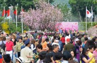 japanese vietnamese mimes come to ha noi