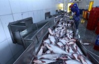 agriculture sector posts trade surplus of 33 bln usd in five months