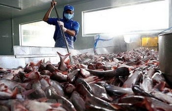 US becomes top importer of Vietnamese tra fish in February