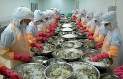 Viet Nam has potential to boost exports to US